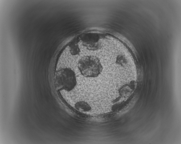 X0000111140529200908111116