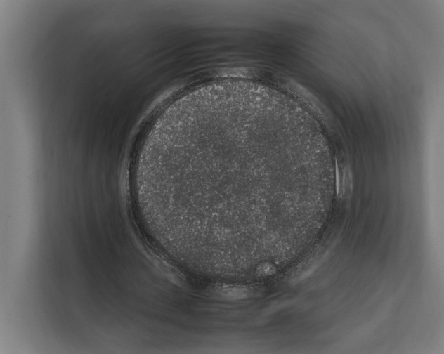 X0000111140531200908111116