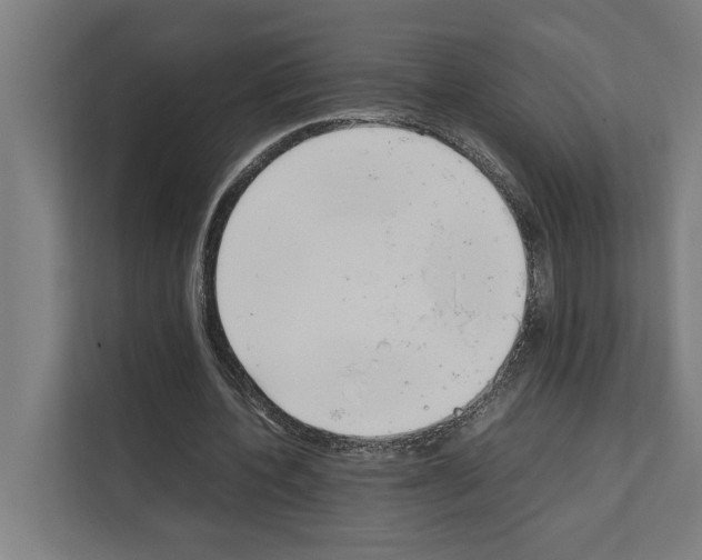 X0000111140532200908111116