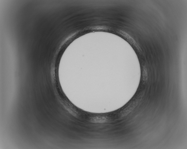 X0000111140535200908111116