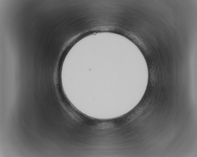 X0000111140536200908111116