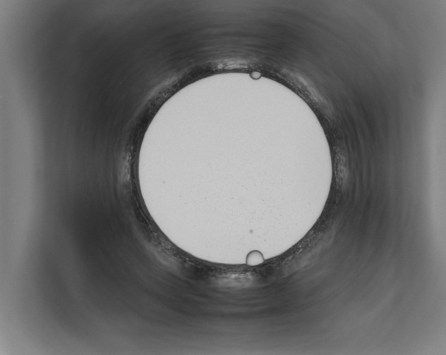 X0000111140543200908111116