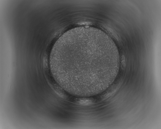 X0000111140547200908111116