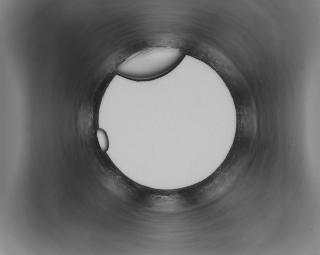 X0000111140548200908111116