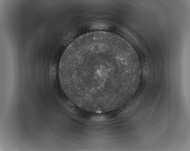 X0000111140551200908111116