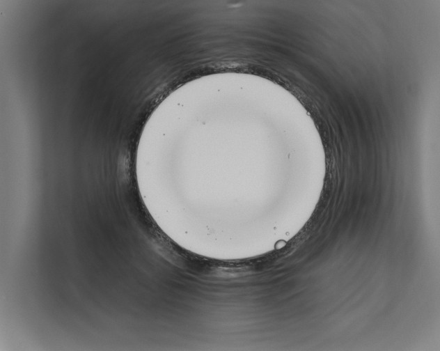 X0000111140556200908111116