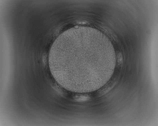 X0000111140559200908111116