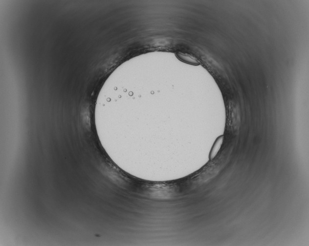 X0000111140562200908111116