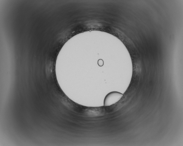 X0000111140567200908111116