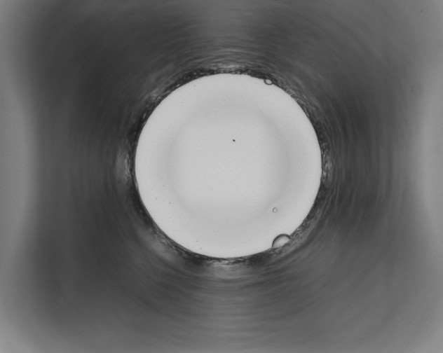 X0000111140568200908111116