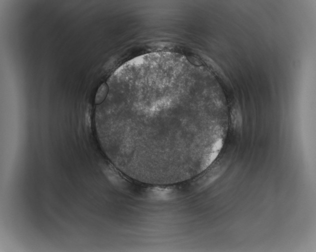 X0000111140570200908111116