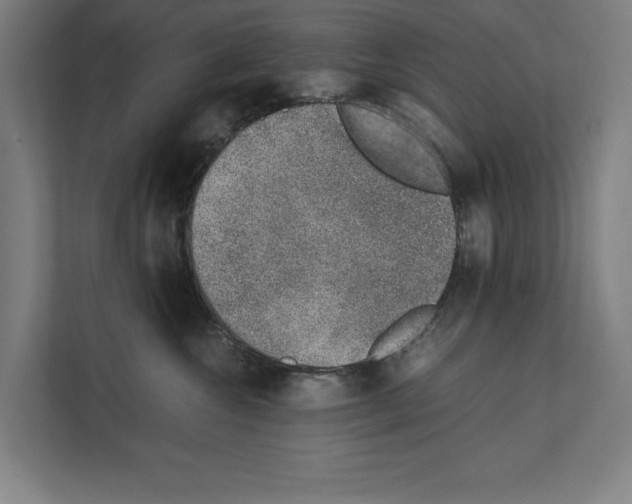 X0000111140572200908111116