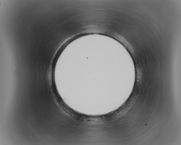 X0000111140580200908111115