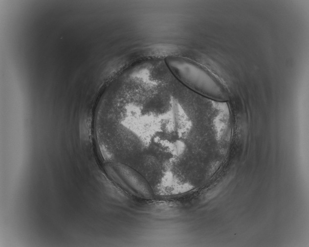 X0000111140585200908111115