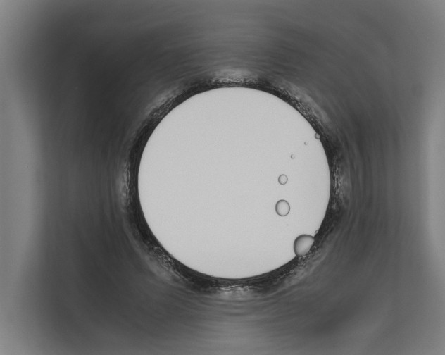 X0000111140591200908111115