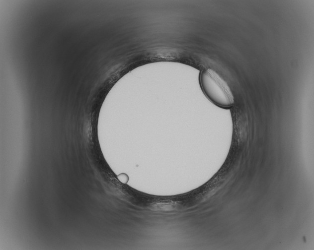 X0000111140595200908111115