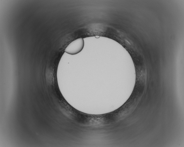 X0000111140599200908111115