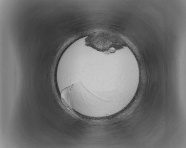 X0000111140625200908111114