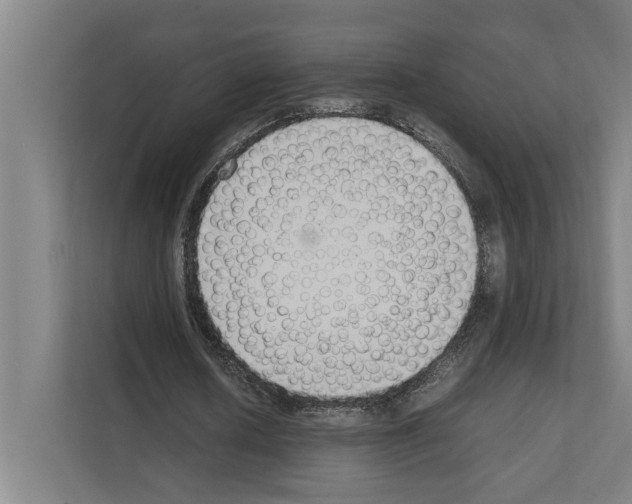 X0000111140626200908111114