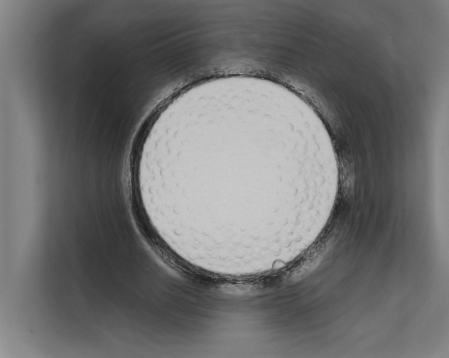 X0000111140630200908111114