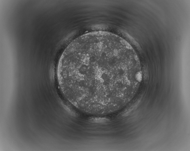 X0000111140637200908111114