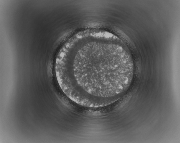 X0000111140640200908111114