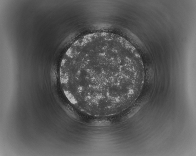 X0000111140644200908111115