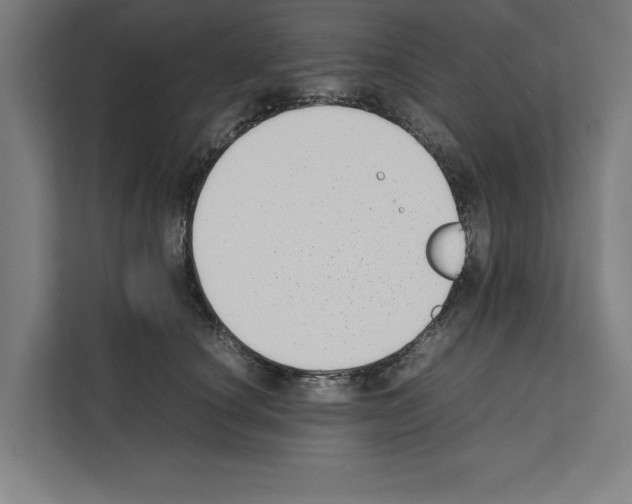 X0000111140660200908111115