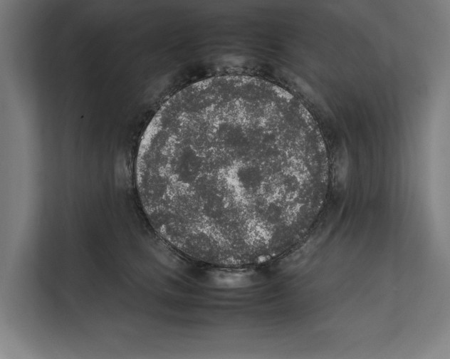 X0000111140661200908111115