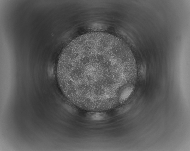 X0000111140663200908111115