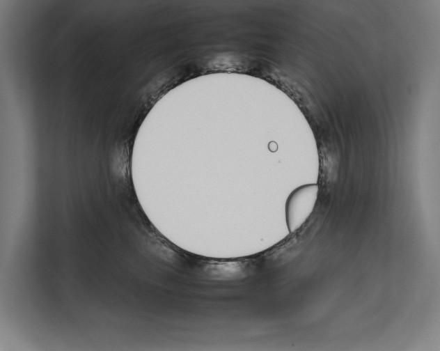 X0000111140665200908111115