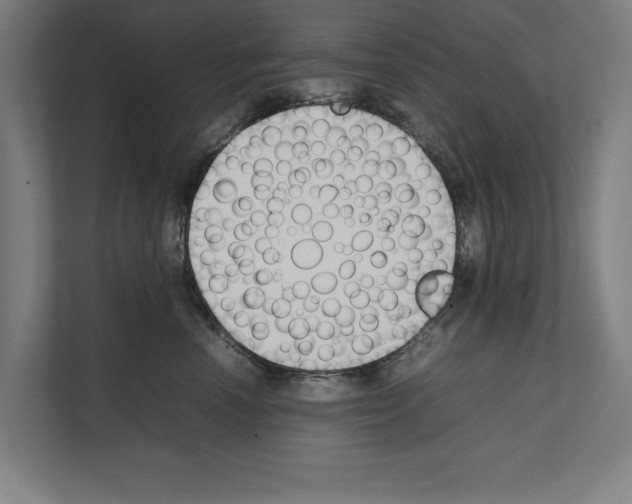 X0000111140666200908111115