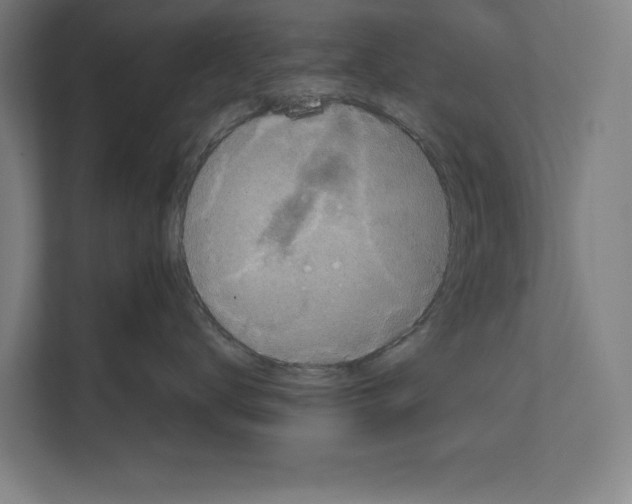 X0000111140672200908111115