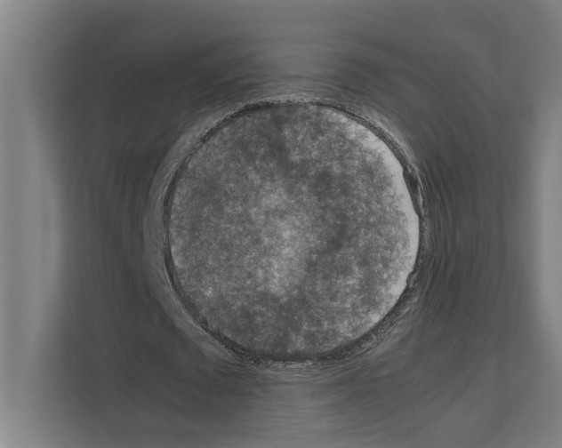 X0000111140673200908111114