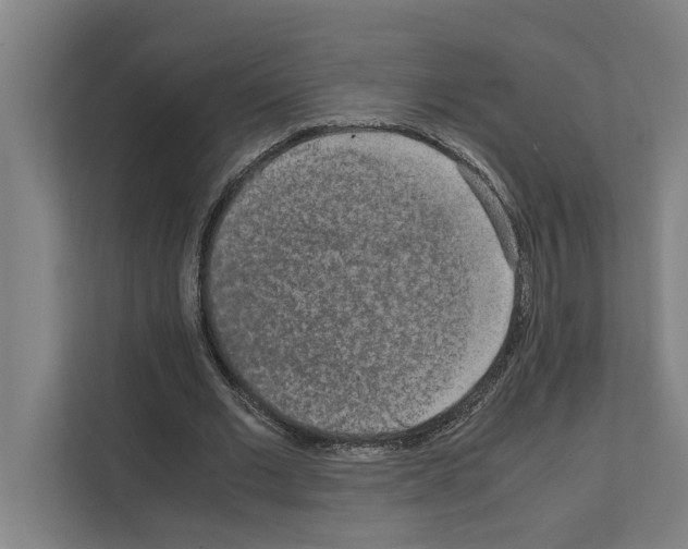 X0000111140677200908111114