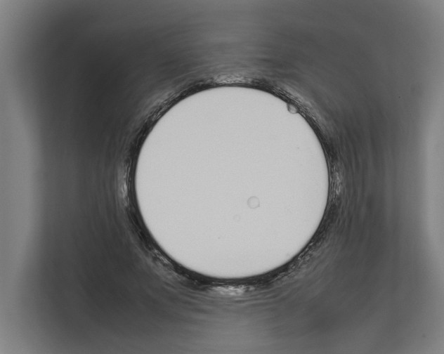 X0000111140687200908111114