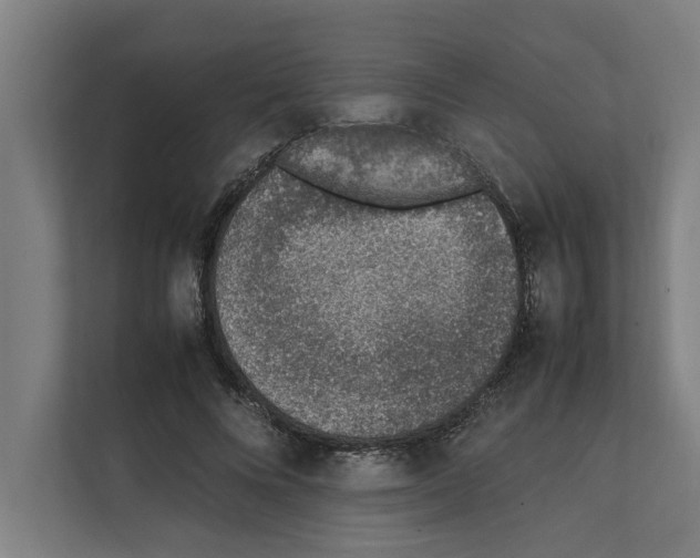 X0000111140688200908111114