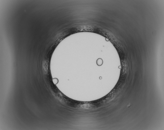 X0000111140695200908111114