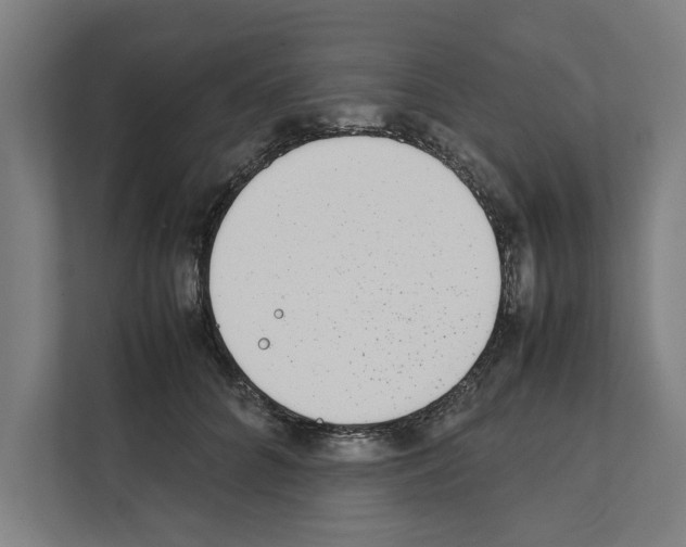 X0000111140704200908111114