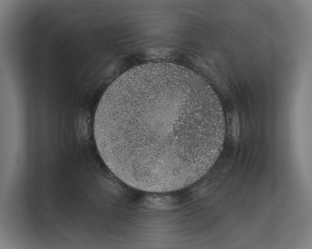 X0000111140712200908111114