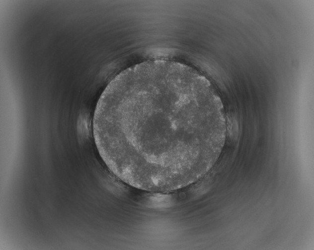 X0000111140718200908111114