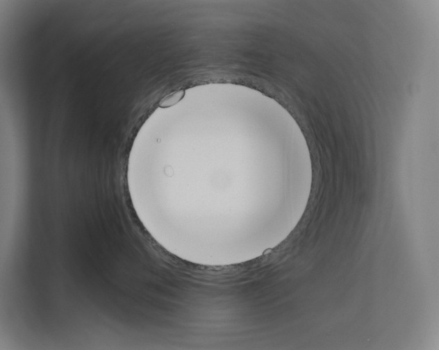 X0000111140720200908111114