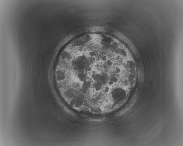 X0000111140721200908111113