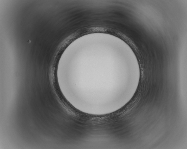 X0000111140725200908111113