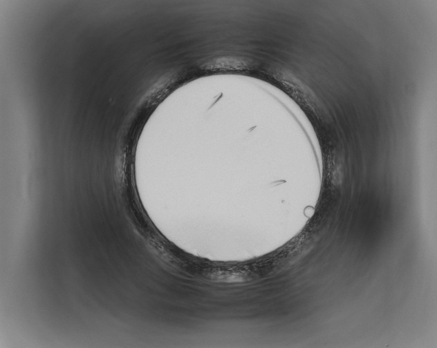 X0000111140735200908111113