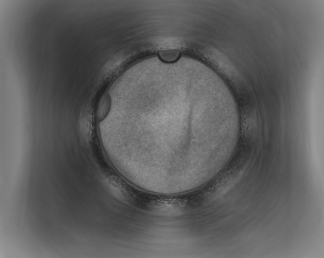 X0000111140736200908111113