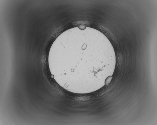 X0000111140739200908111113