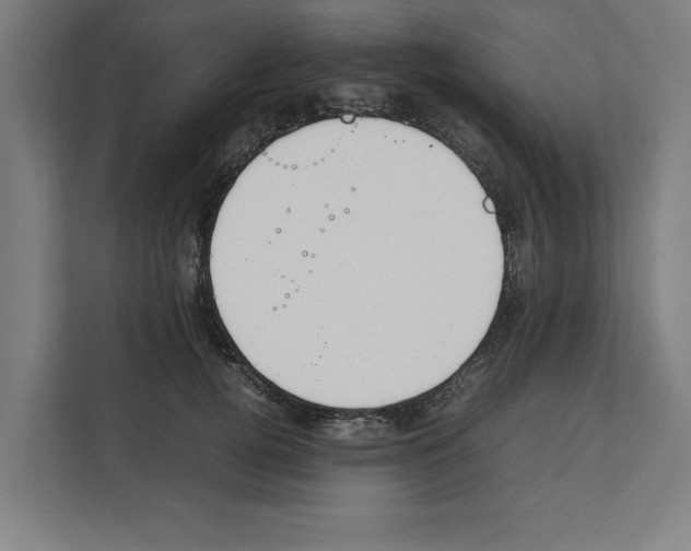 X0000111140752200908111113