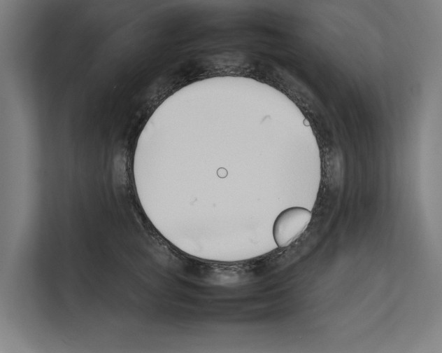 X0000111140757200908111113