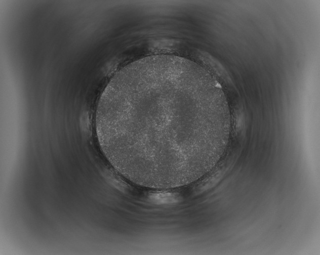 X0000111140759200908111114